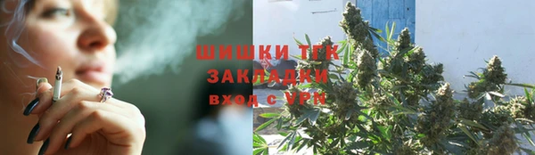 молекула духа Покров