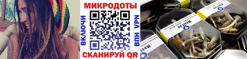 Галлюциногенные грибы Psilocybine cubensis  купить   Галич 